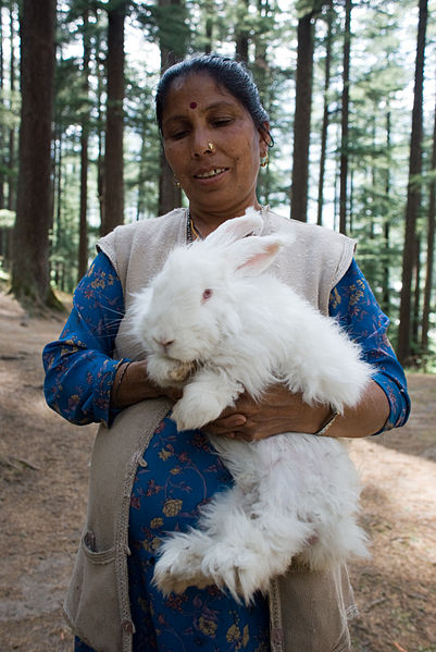 File:Woman with a rabbit in Manali in 2009.jpg