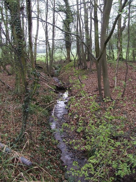 File:Woodland with stream looking south from Woodfield Lane - geograph.org.uk - 157651.jpg