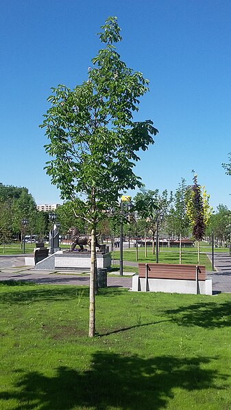 File:Yerevan 2800th-anniversary park 40.jpg