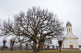 Lužnice (flyveplads)