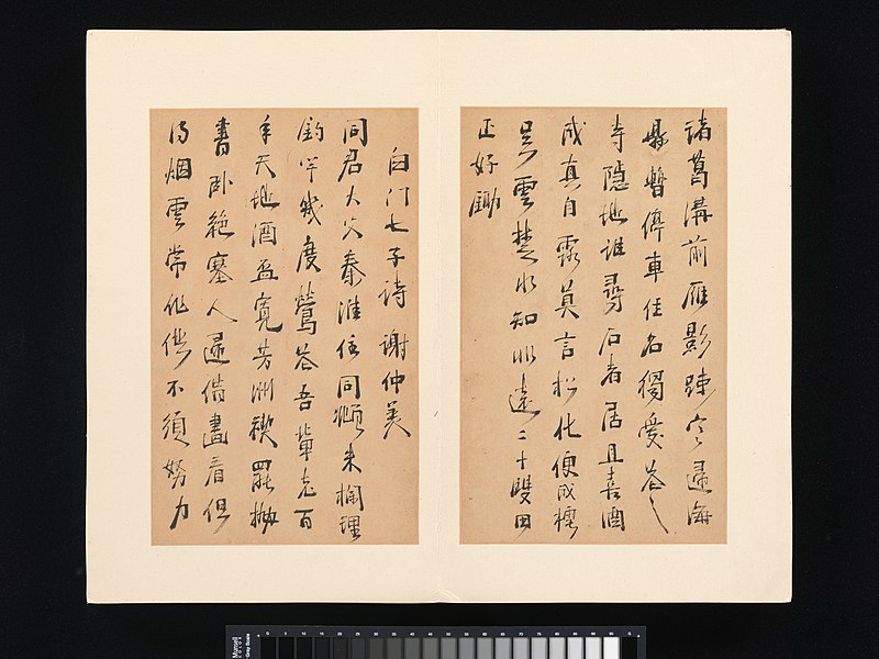 File:明-清 周亮工 真意亭詩 冊-Poems from the Zhenyi Studio MET DP 