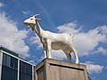 "I Goat", a sculpture in Spitalfields.