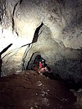Миниатюра для Таврида (пещера)