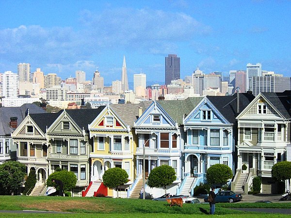 These famous houses are called the "Painted Ladies"