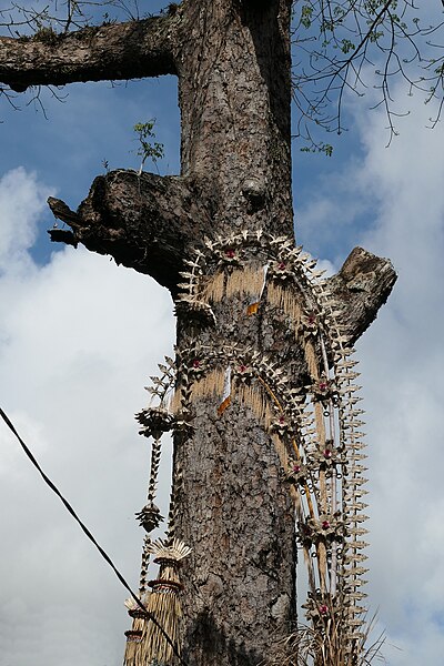 File:027 Decorated Old Kapok Tree, Goa Gajah, Gyanyar, Bali, photograph by Anandajoti Bhikkhu.jpg