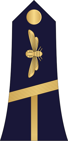 File:09.Ivory Coast Air Force-2LT.svg