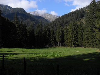 Almwiesen nahe der Passhöhe