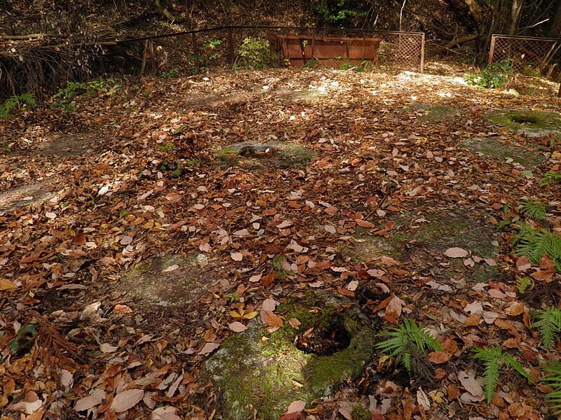 File:2010-11-30 龍門寺跡 - panoramio (2).jpg