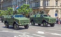 Dingo 2 с боевыми модулями Protector RWS армии Люксембурга (2016)