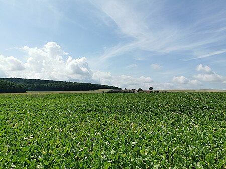 2019 08 08 – LT 04 – Mountainbiketour Lauda Königshofen – Ostroute – Bild 32