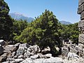 Phaselis (ruins)