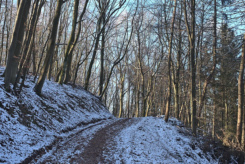 File:20210110 Landschaftsschutzgebiet Blieskastel.jpg