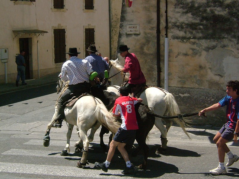 File:30111CongéniesBandido1170.JPG