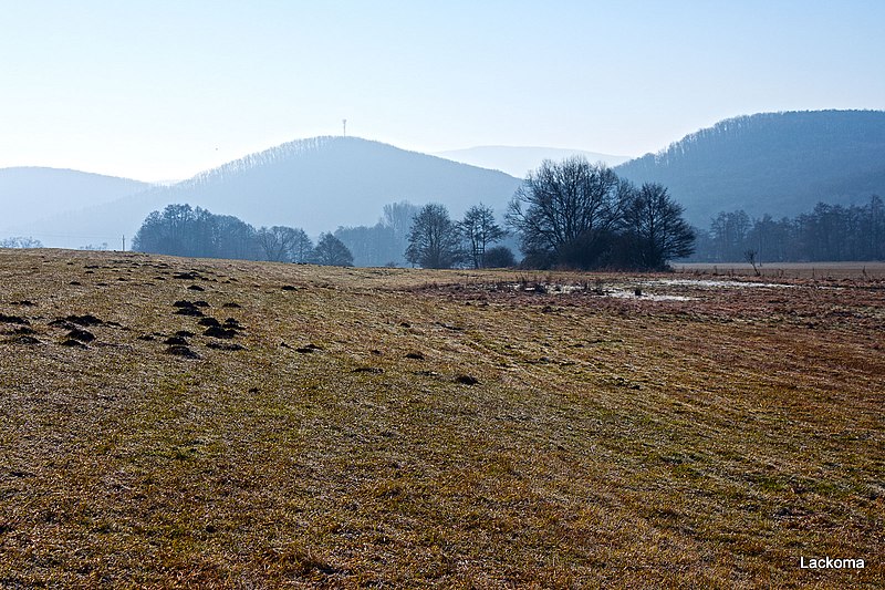 File:985 53 Dobroč, Slovakia - panoramio - Marian Lacko (1).jpg