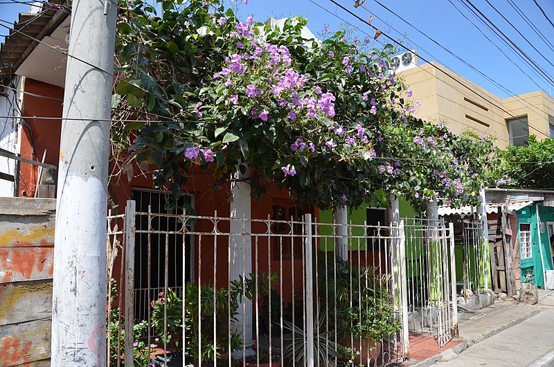 File:A poorer neighborhood in Cartagena, Colombia (23982156784).jpg