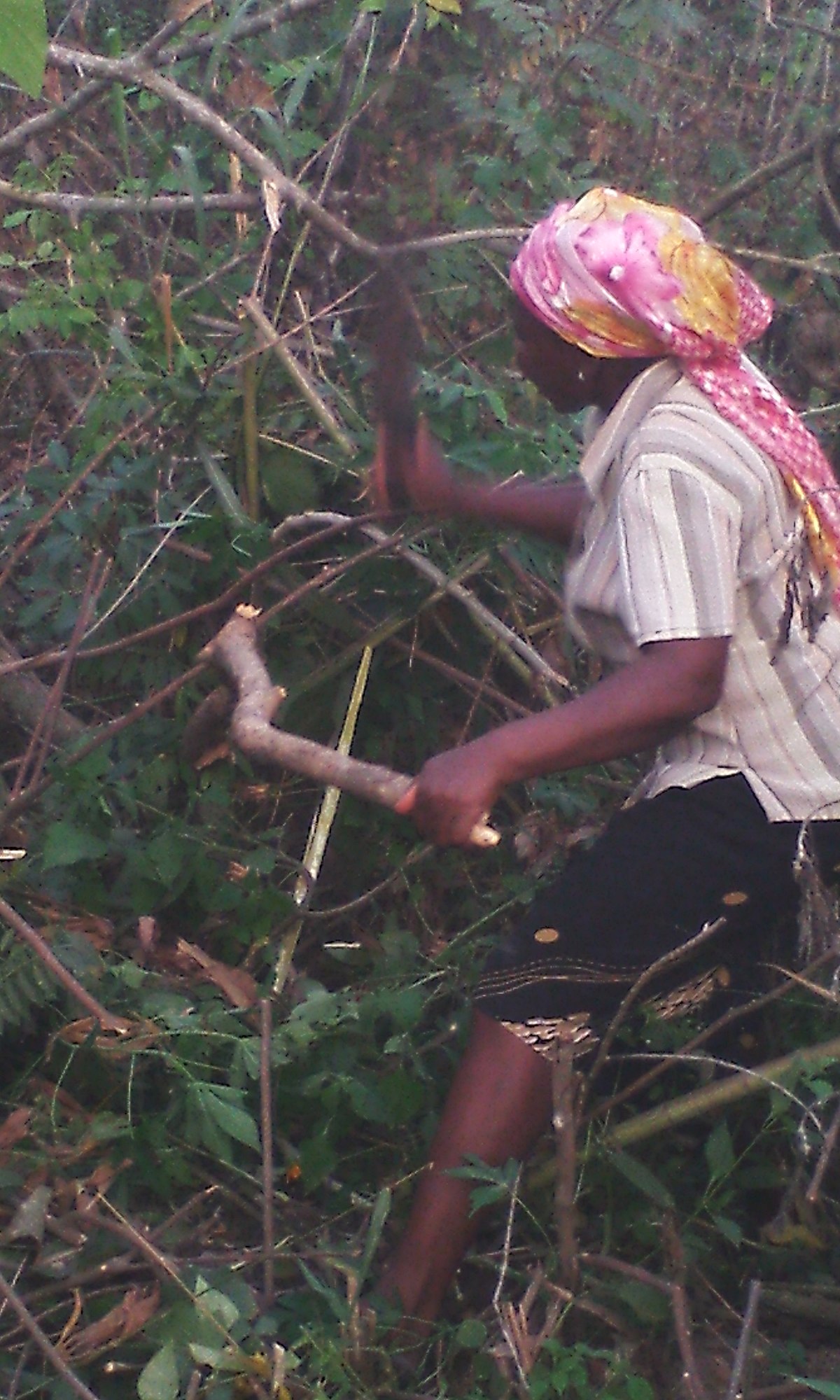 https://upload.wikimedia.org/wikipedia/commons/thumb/f/f0/A_woman_cutting_firewood.jpg/1200px-A_woman_cutting_firewood.jpg