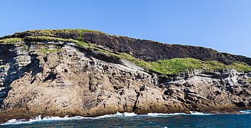 Acantilados de Heimaey, Islas Vestman, Suðurland, Islandia, 2014-08-17, DD 053.JPG