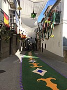 Alfombras florales Corpus Cristi de Béjar.jpg