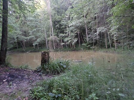 Am Ufer des Tobelweiher