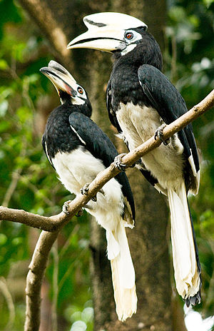 Kuala Lumpur Bird Park