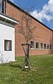 * Nomination Crataegus × lavalleei ("Apfeldorn") near a church in Hof. --PantheraLeo1359531 16:38, 30 April 2021 (UTC) * Promotion  Comment Good quality in general. However, there's something weird on the upper edge of the sign below the tree, maybe some kind of CA or artefact from processing? Can you do something about this? --Domob 13:33, 4 May 2021 (UTC)  DoneThank you for the hint, could fix it :) --PantheraLeo1359531 17:22, 6 May 2021 (UTC)  Support Thanks for the fix, good quality. --Domob 08:12, 7 May 2021 (UTC)