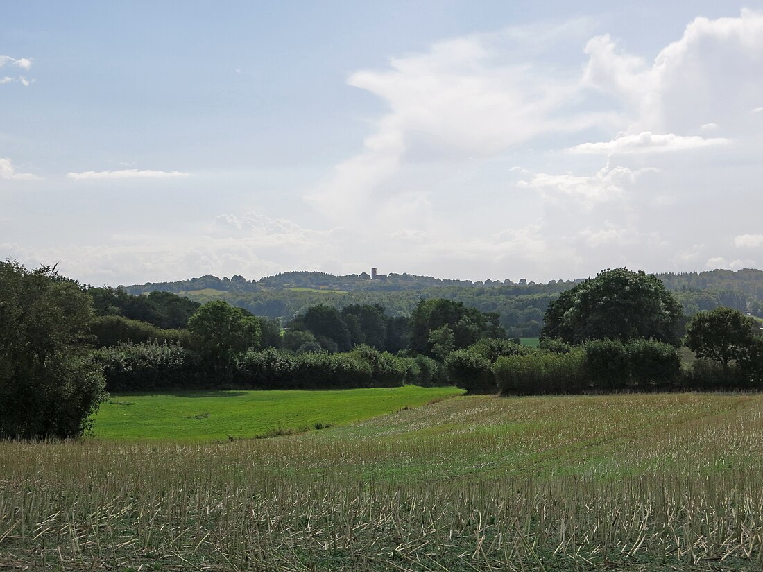 Asch-Berg (bungtod sa Alemanya, Schleswig-Holstein)