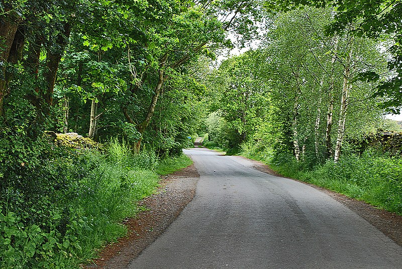 File:Ashes Lane - geograph.org.uk - 1381814.jpg