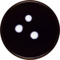 Aspergillus teporis growing on MEAOX plate