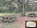 wikimedia_commons=File:Augspurg Picnic Tables.jpg