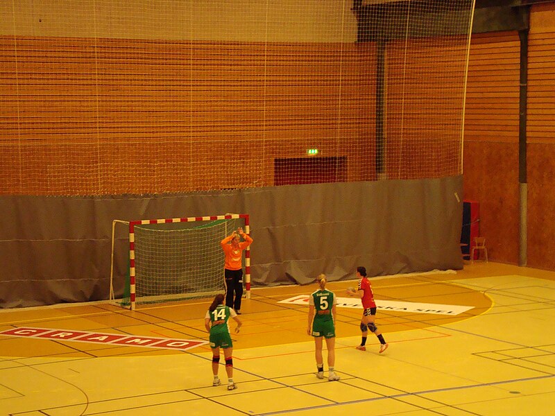 File:AvestaBrovallen vs Skuru 090226 2.jpg