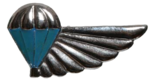 BADGE - SA Army - Qualification Air Supplier - Chrome and Enamel - Service Dress.png