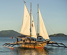 The Balatik, a paraw, a functioning replica of a traditional Austronesian sailing trimaran from the Visayas Islands of the Philippines Balatik paraw trimaran (cropped).jpg