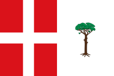 Bandera de EspejadeSanMarcelino.svg