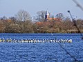 Natuurreservaat Barghauser See, op de achtergrond de St.-Stephanuskerk van Fedderwarden