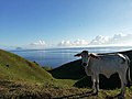 Batanes