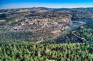 <span class="mw-page-title-main">Battir</span> Municipality type C in Bethlehem, Palestine