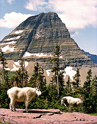<span class="mw-page-title-main">Bearhat Mountain</span> Mountain in Montana, United States