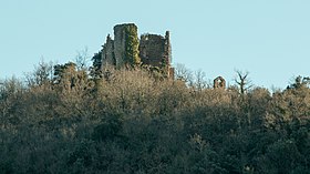 Illustrativt billede af artiklen Château de Belcastel (Aude)