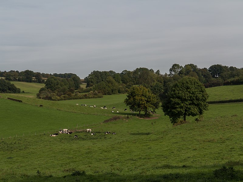 File:Bij Trintelen, panorama foto6 2014-09-28 12.40.jpg