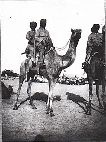 Bikaner Camel Corps, El Arish 1918 Bikaner Camel Corps, El Arish 1918 (IWM Q50888).jpeg