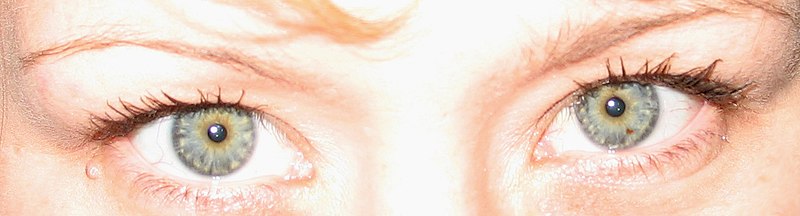 File:Blue-green eyes 2.jpg