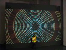 A Blueprint for Bacterial Life - HiDef video digital installation at DCA, Dundee, 2006. Blueprint1.gif