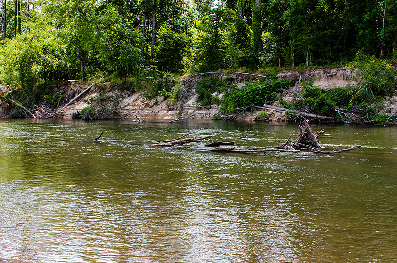 File:Bogue Chitto River.jpg