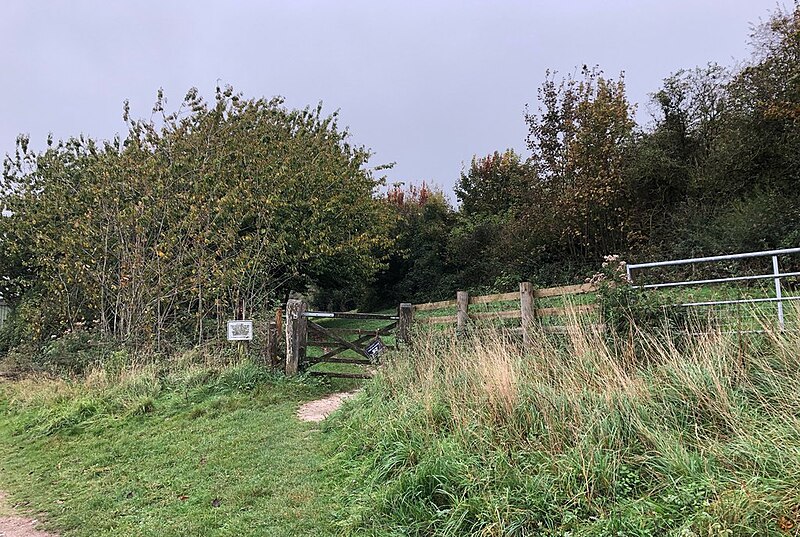 File:Bridleway heading past Cissbury Ring - geograph.org.uk - 5948818.jpg