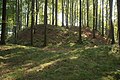 Heinsburg ruins