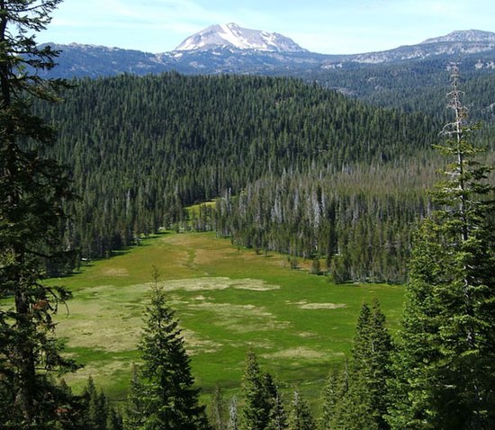 Buzzard Springs, partial source of the North Fork Feather River, near Rice Creek and with Lassen Peak in the background