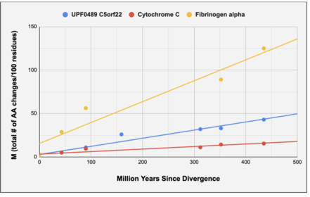 UPF0489 C5orf22 rate of evolution. Estimated time of divergence from human C5orf22 (millions of years ago; MYA) versus % corrected divergence of orthologous protein (m; total # of AA changes/100 residues). Slopes for fibrinogen alpha, C5orf22, and cytochrome C are 0.24, 0.09, and 0.03, respectively. Orthologs are monkey (Callithrix jacchus), mouse (Mus musculus), bird (Merops nubicus), frog (Xenopus laevis), and fish (Danio rerio). Data points for C5orf22 are displayed in blue. Data points for cytochrome C are shown in red. Data points for fibrinogen alpha are indicated in yellow. All data was collected from NCBI BLASTP. C5orf22 Protein Rate of Evolution.png