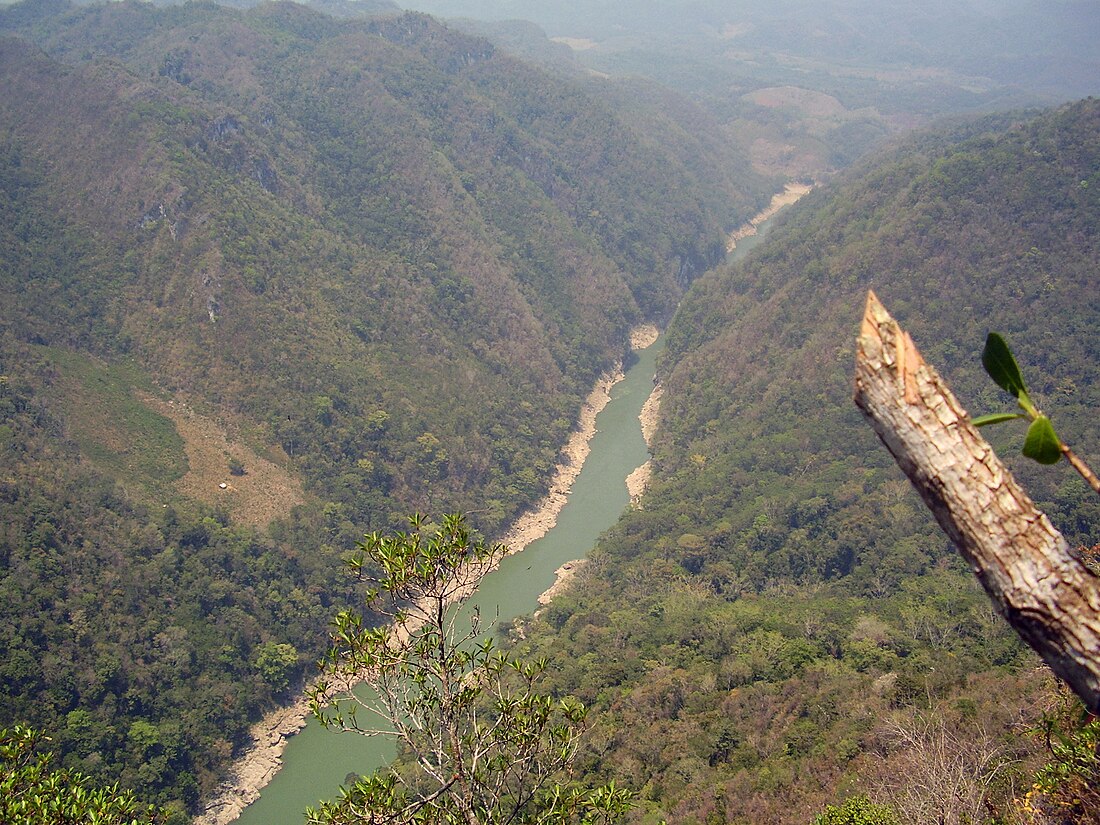 Sungai Usumacinta