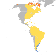 Calidris fuscicollis map.svg