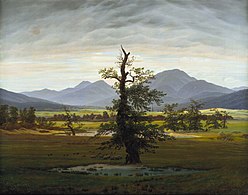 Caspar David Friedrich, Osamělý strom (1822)
